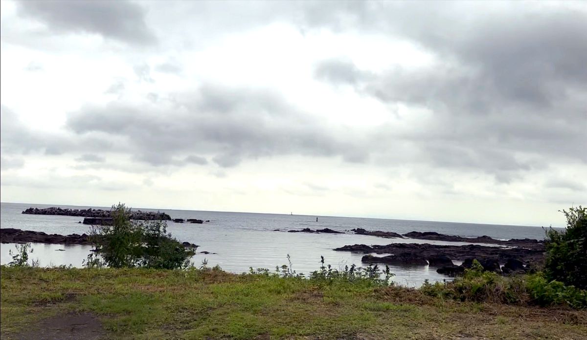 三浦半島の海